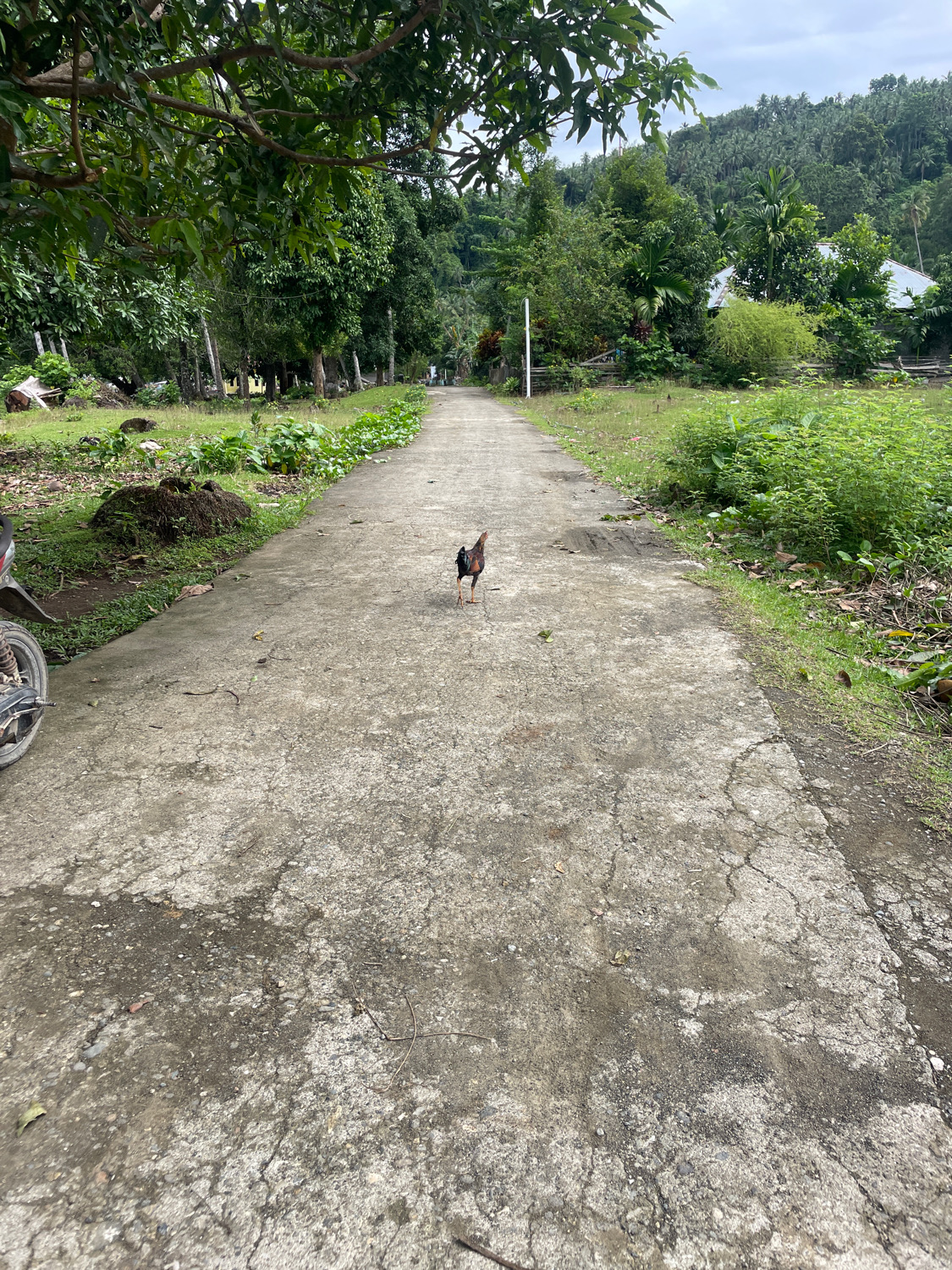 Foto Akhir